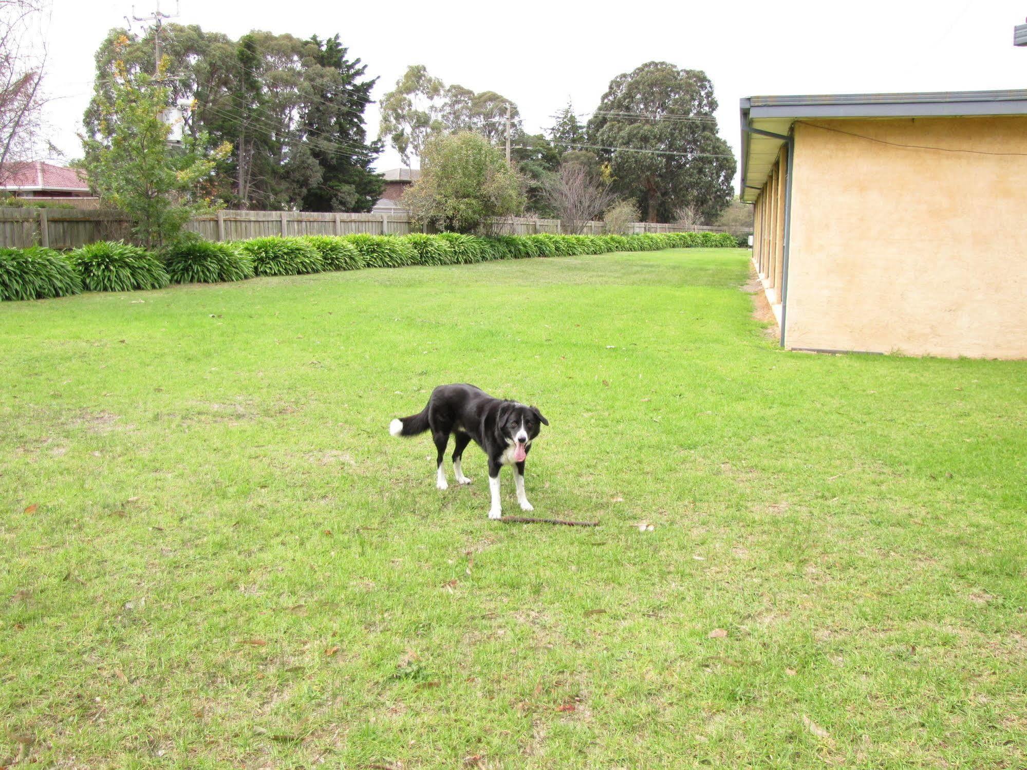 Motel Traralgon Esterno foto